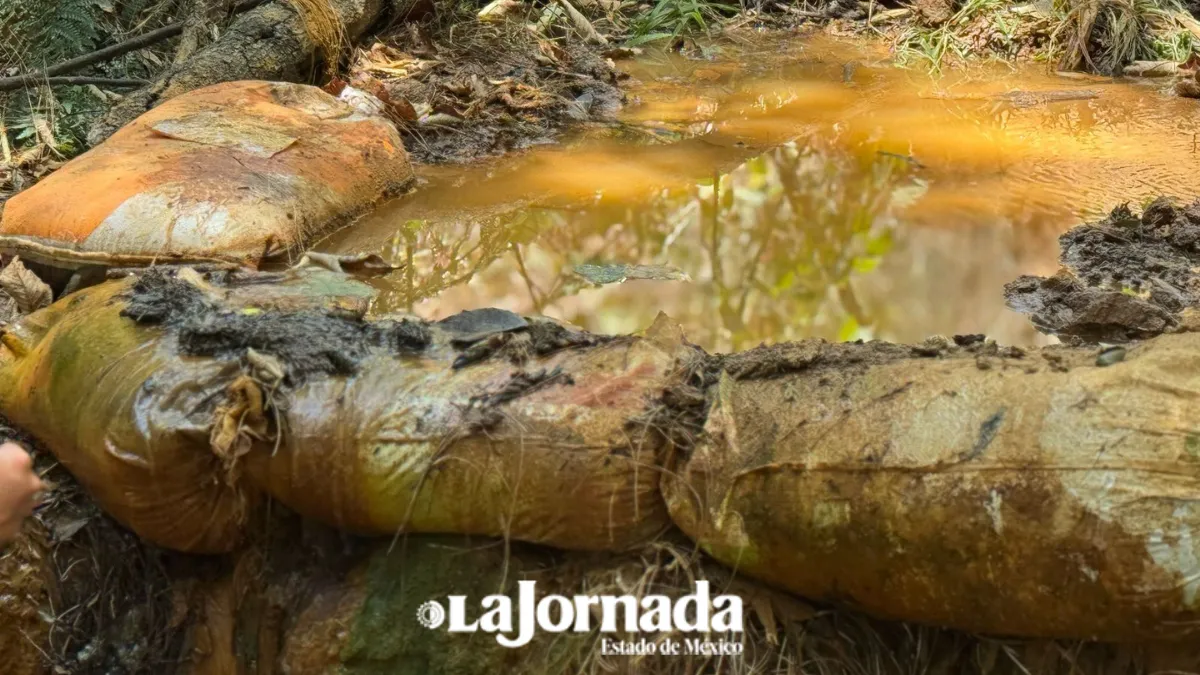 Afecta contaminación del río Temascaltepec a población, animales de granja y vegetación