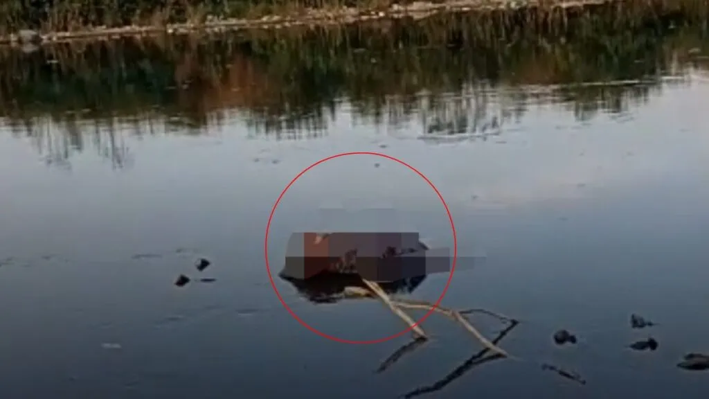Madres buscadoras localizan 2 cuerpos en Bordo de Xochiaca