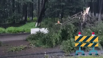 Árbol caído bloquea la circulación en la México-Toluca hoy 9 de agosto