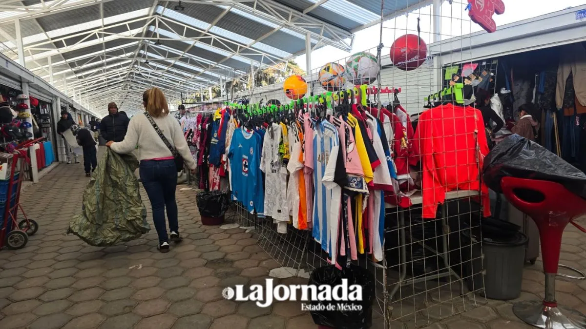 Tianguis y mercados Edomex