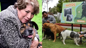 Edomex: Delfina Gómez se preocupa por el  Cuidado Animal