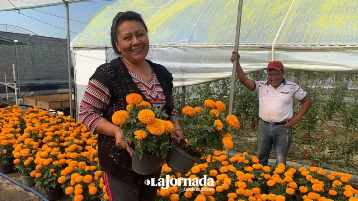 Cempasúchil chino inunda Edomex