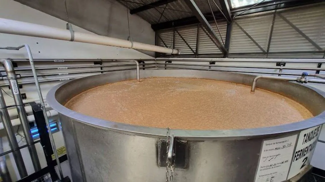 Jilotepec: Identidad, tradición y creación a través del whisky y maíz