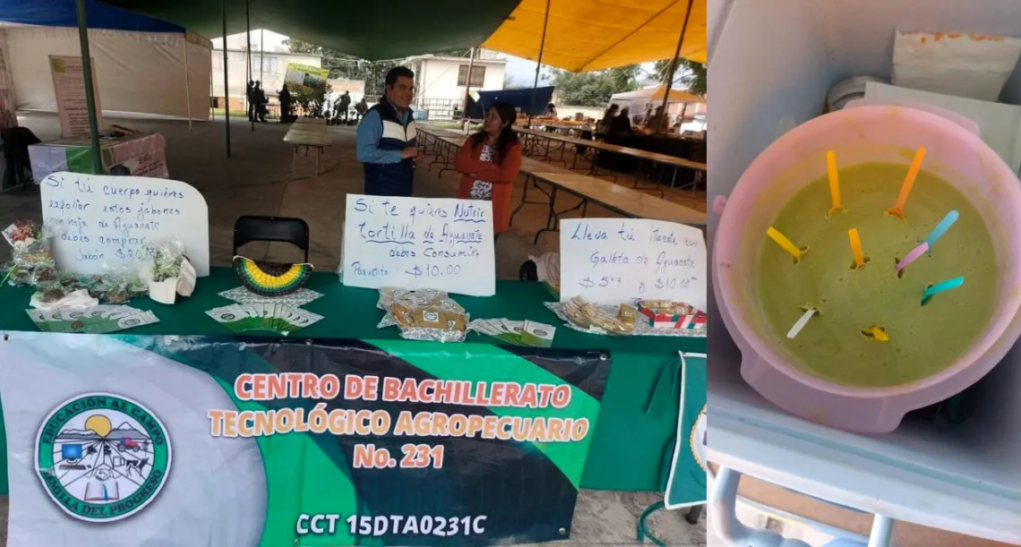 Productores de la Región de Los Volcanes  buscan industrializar aguacate