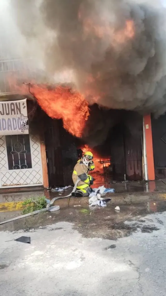 Tecámac: Muere gato al incendiarse una tapicería