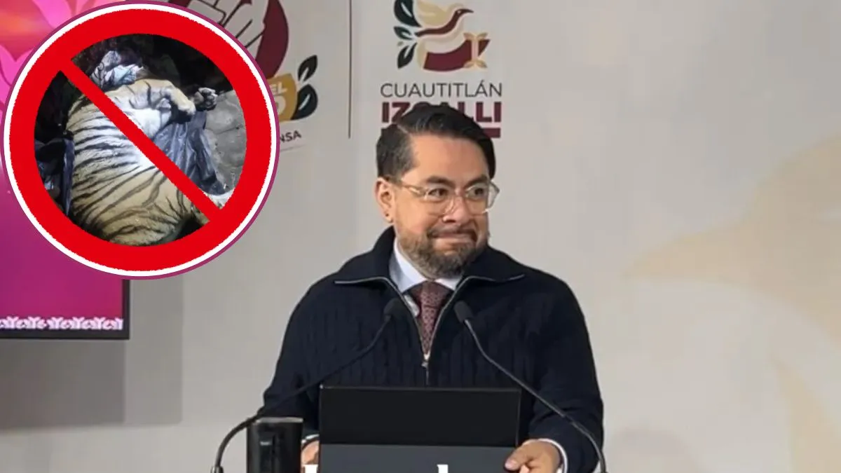 Alcalde de Cuautitlán Izcalli pide no tener animales silvestres como mascotas