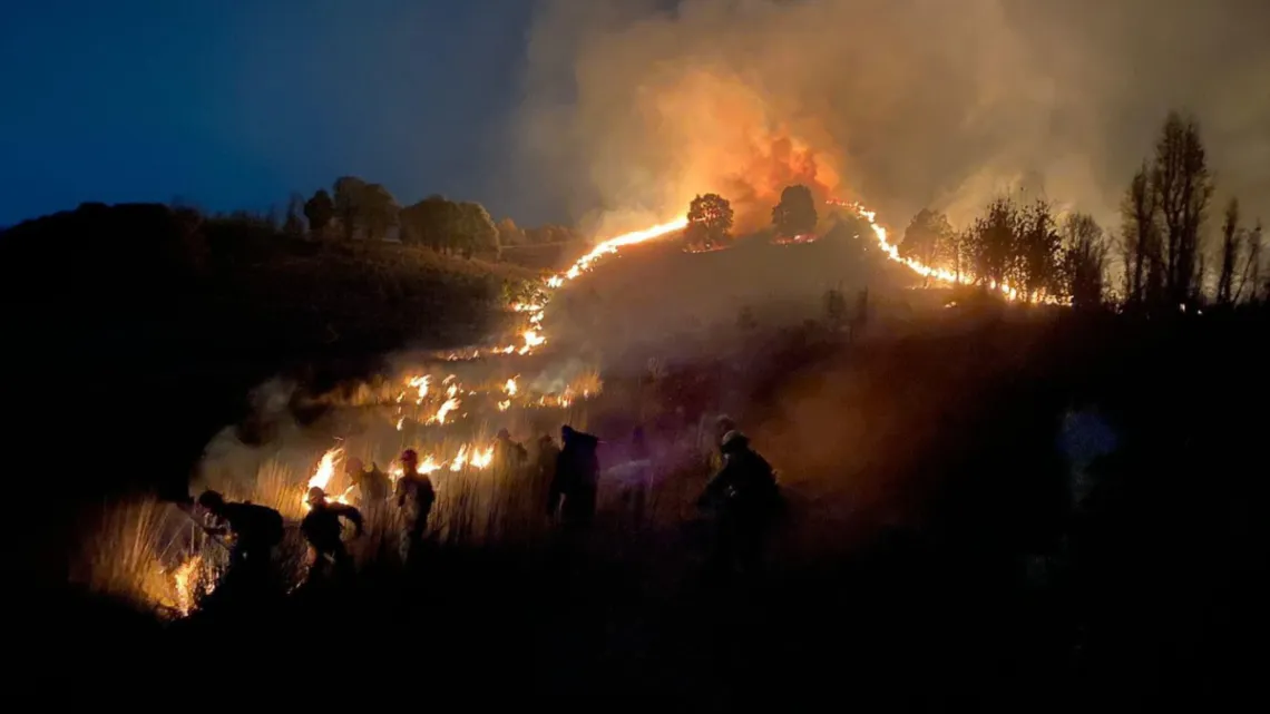 Estudiantes de Chapingo conforman brigada para combatir incendios forestales