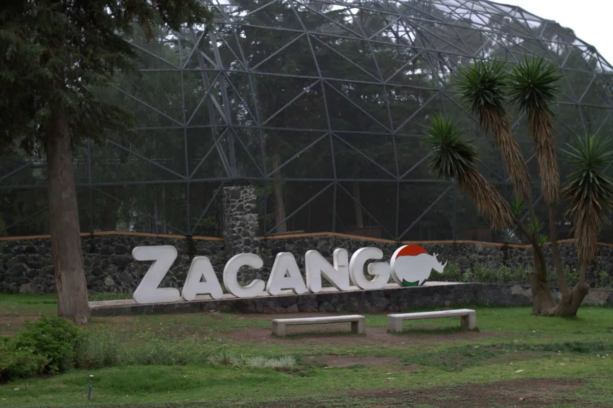 Parque Ecológico Zacango ofrece Curso de Verano 2024 | La Jornada ...