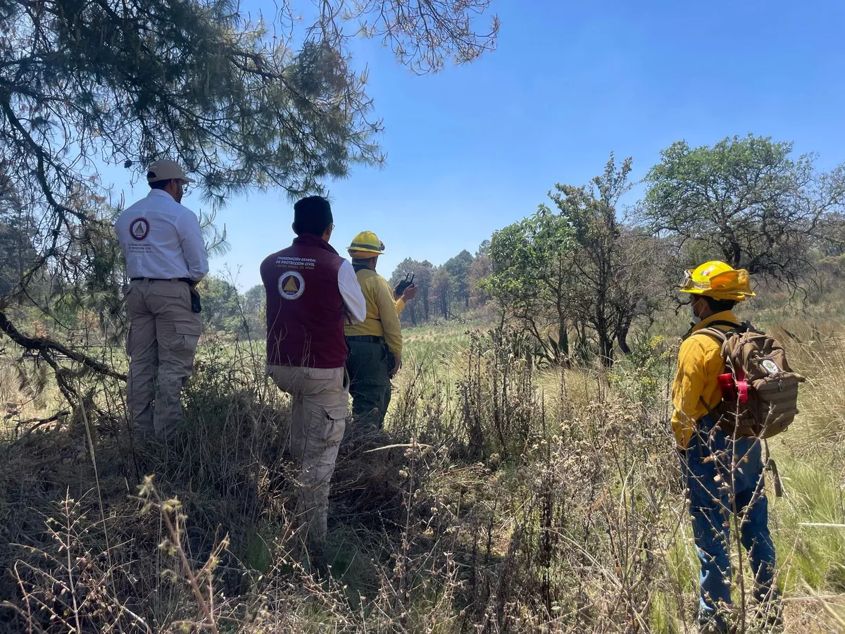 En Edomex más del 90% de los incendios forestales son provocados por el hombre