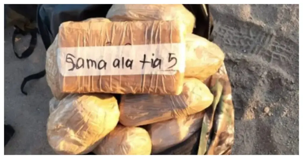 “Prevención y atención”, los ejes de la campaña contra el consumo de drogas del Gobierno federal