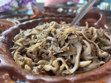 Preparan Festival Cultural del Hongo Amecameca 2023
