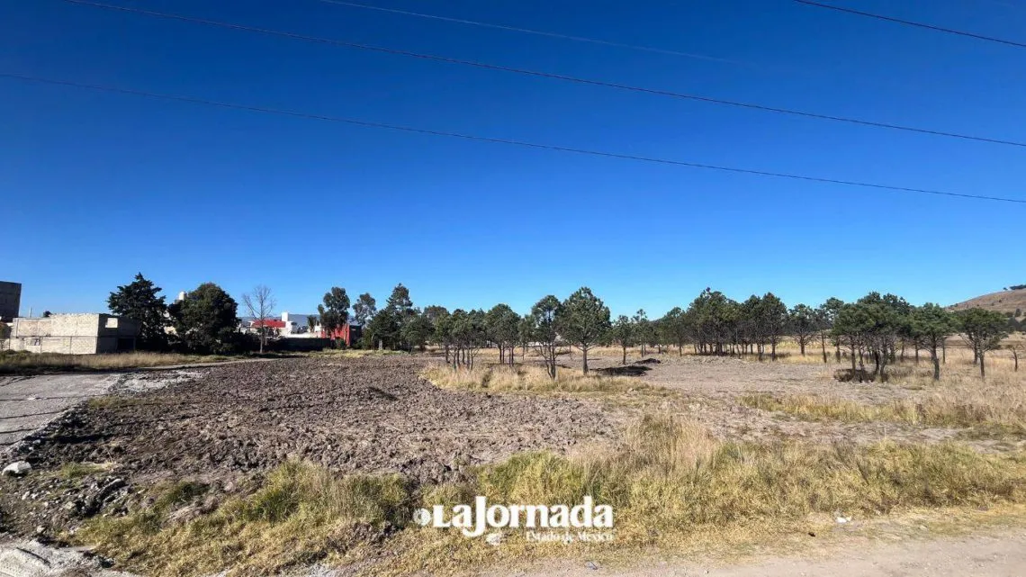 Edomex: Consiguen suspensión provisional de obra en Parque Sierra mediante amparo