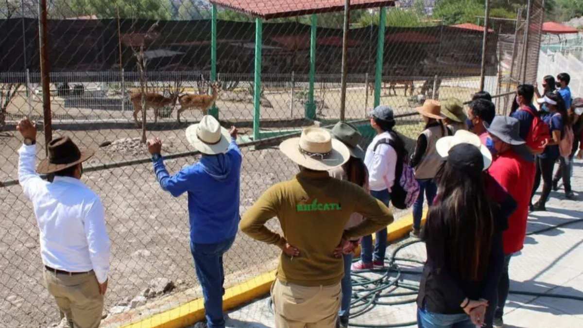 Desaparecen 11 animales del Parque Ecológico de Ecatepec