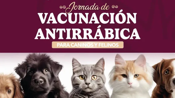 Acolman prepara jornada de vacunación para perros y gatos en Acolman