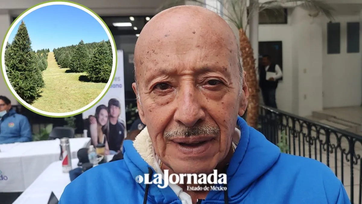 Atizapán arranca recolección de árboles navideños: Aquí los centros de acopio