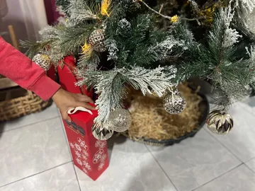 Navidad