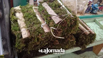 Venta de musgo y heno prevalece en mercado y tianguis del Edomex