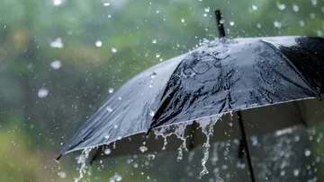 Aumenta la venta de paraguas en Toluca por temporada de lluvias, reportan comerciantes