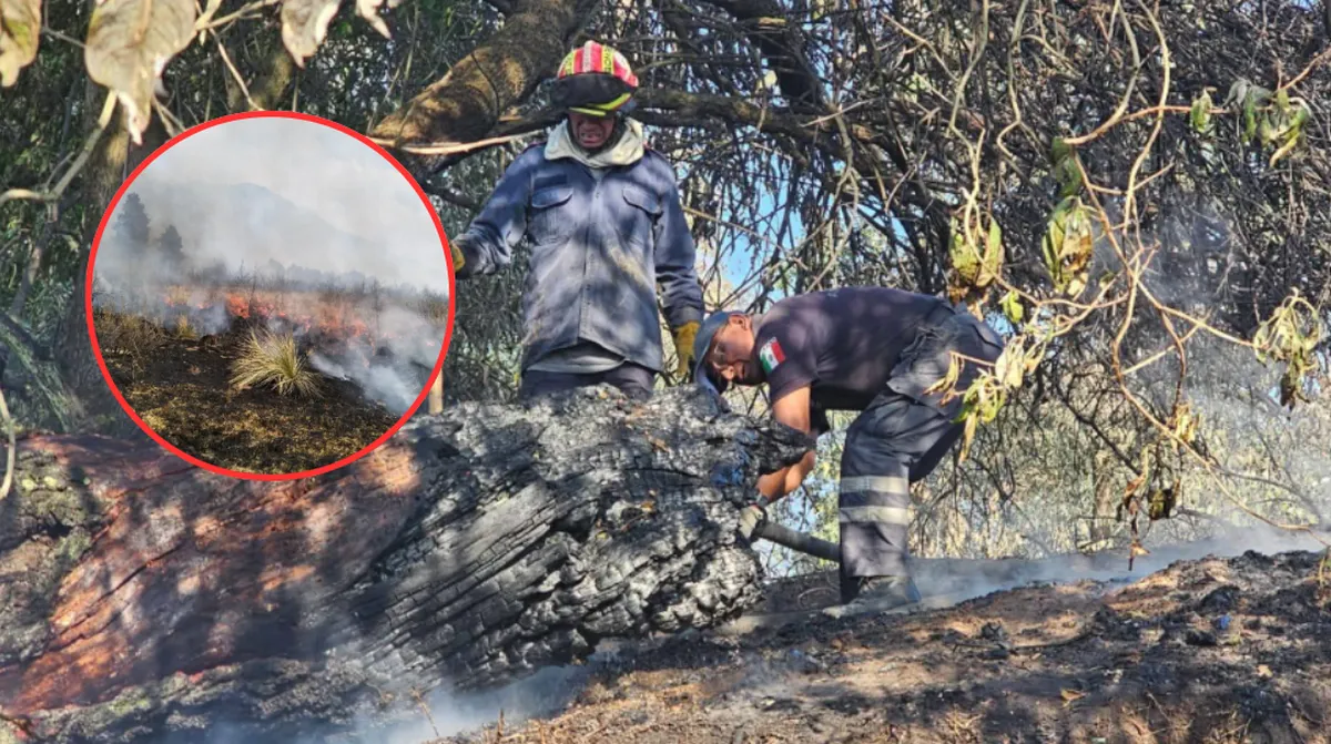 Alerta en Amecameca: Incendios forestales suman 30 casos en 2026; llaman a suspender quemas