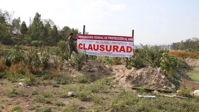 Se detectó un “dique artificial” construido ilegalmente dentro del lago de Guadalupe.