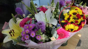 Edomex líder florícola: Produce el 85% de las flores para el Día de las Madres