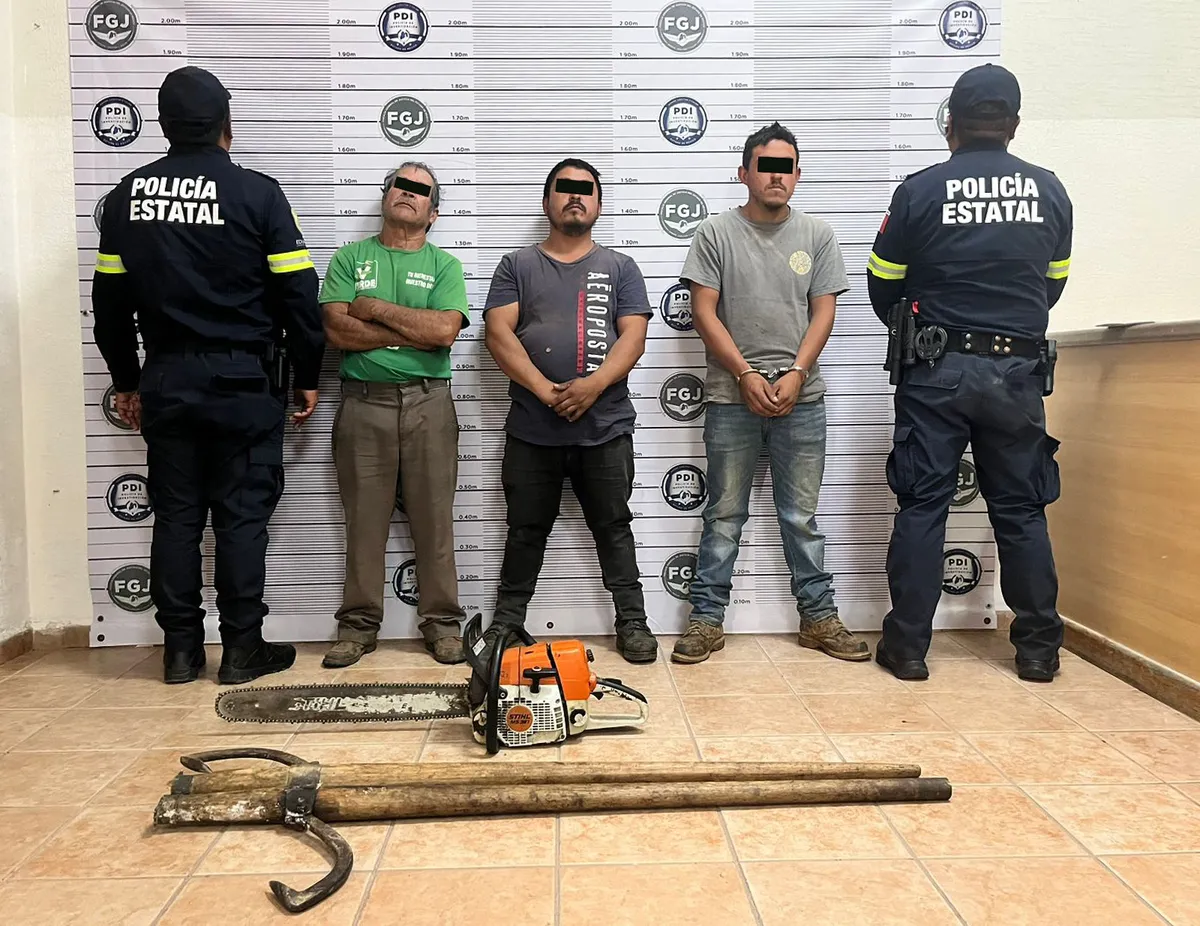 Los uniformados identificaron a los sospechosos mientras talaban madera de pino sin la documentación correspondiente.