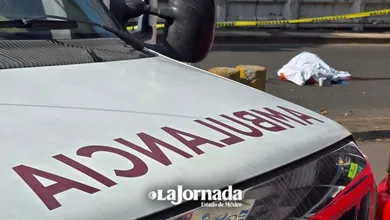 Muertes por transporte público