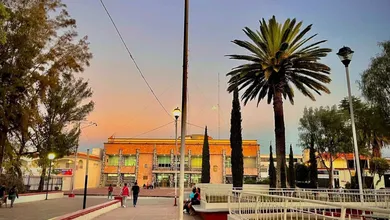 Se enferman 66 árboles del parque de La Soledad en Tecámac