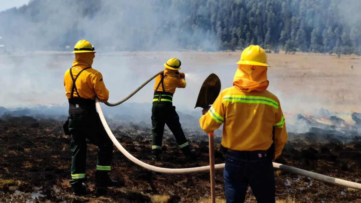 Ayuntamiento de Lerma busca brigadistas voluntarios para combatir incendios forestales