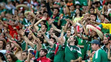 Grito característico en los partidos de futbol persiste como expresión homofóbica en los estadios: activistas
