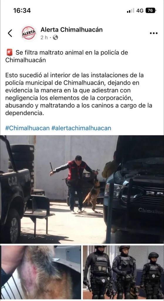 Unidad canina de Chimalhuacán sin maltrato animal: CEPANAF