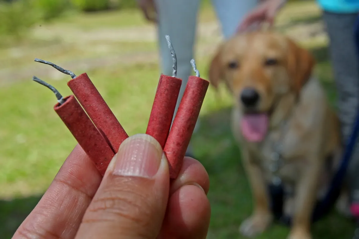 Prohíben venta de pirotecnia en Valle de Chalco