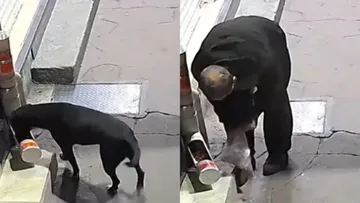 Hombre roba croquetas a perrito callejero en Edomex