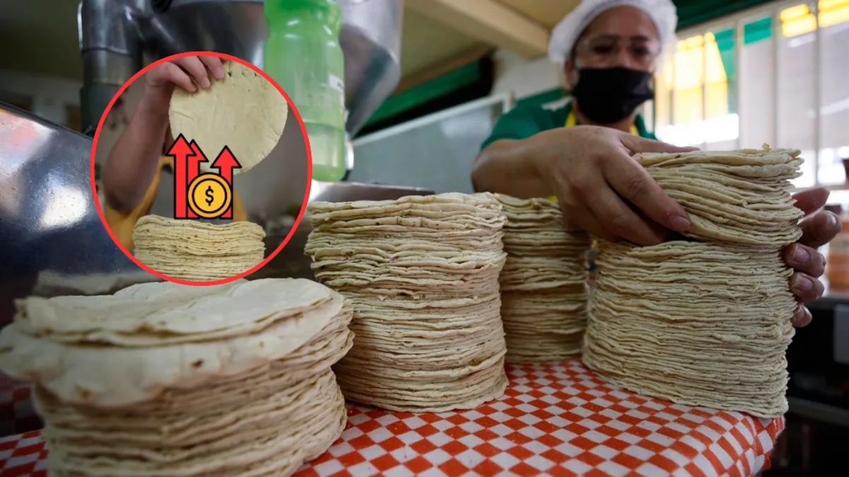 Precio de la tortilla en Edomex: Pese a rechazo de Sheinbaum, industriales prevén alza de hasta 2 pesos