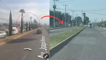 Talan árboles frente a mercado de cohetes en Tultepec y acusan ecocidio