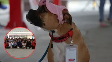 Edomex busca ser referente en protección animal desde la educación básica