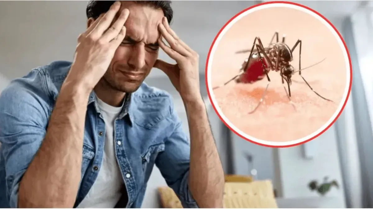 Basureros a cielo abierto contribuyen a propagar dengue