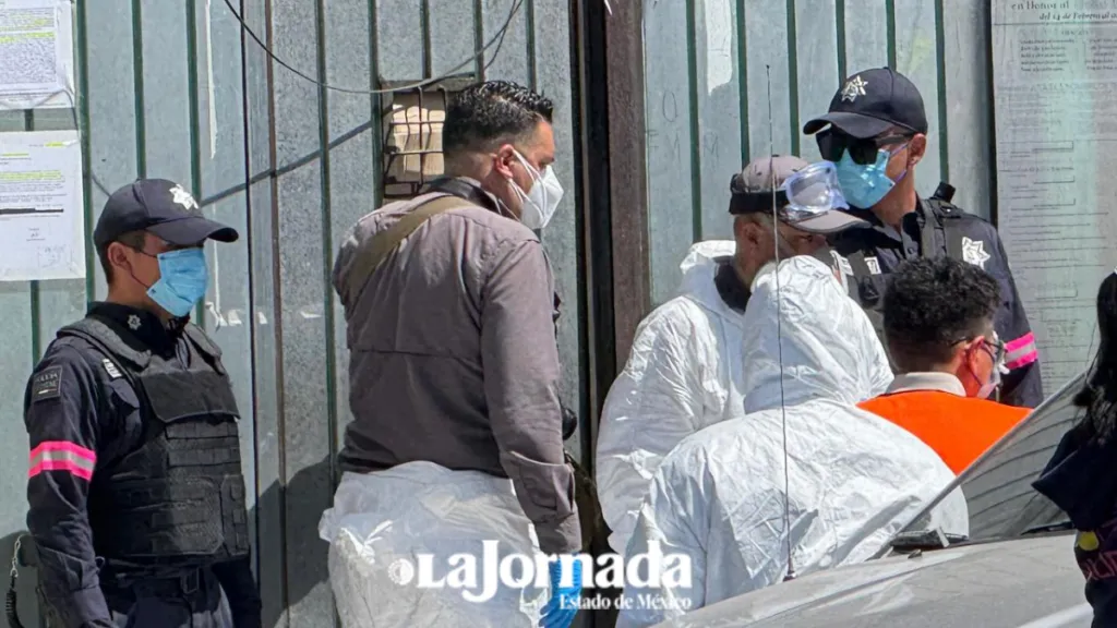 Buscan nuevos indicios en predio donde rescataron 108 perritos en Mexicaltzingo
