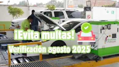 ¿Quiénes deben verificar su auto en agosto 2025?