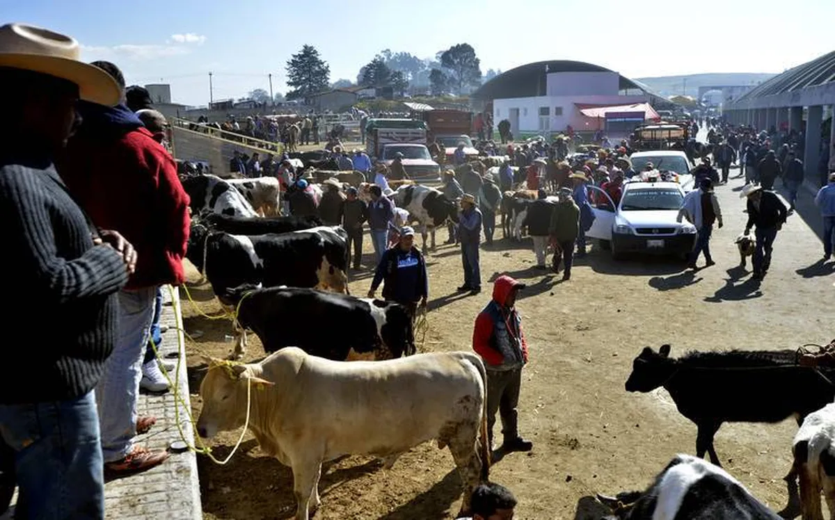 Encuentran posible ritual con un animal en tianguis de Almoloya de Juárez