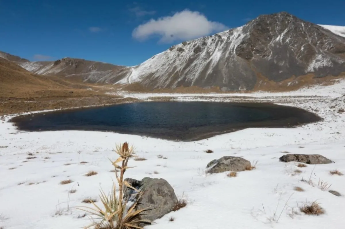 A causa del mal tiempo y que las condiciones meteorológicas impide entrar a la zona alpina, este miércoles 22 de noviembre se canceló toda posibilidad de llegar a la cima del volcán. Foto: La Jornada