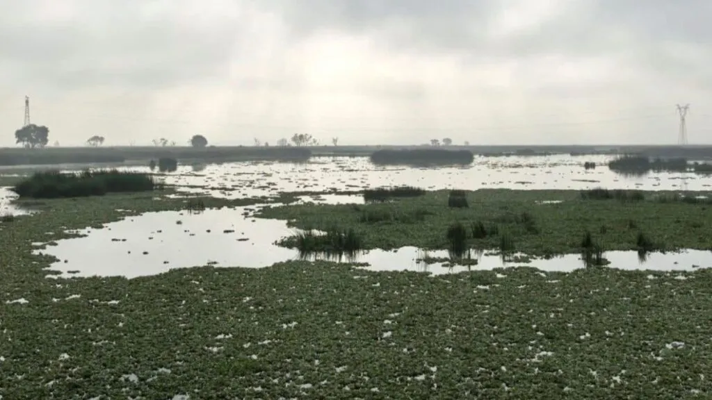 Río Lerma continúa con contaminación crónica: Estudio