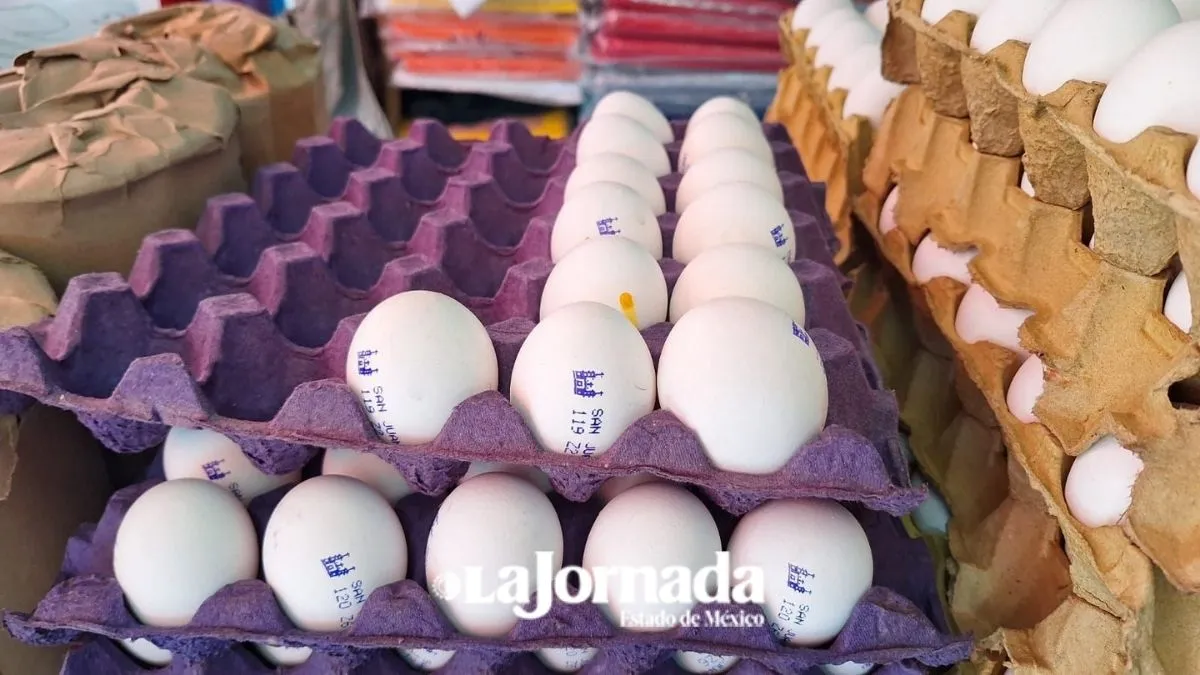 Precio del huevo aumenta más 25%, hasta 50 pesos el kilo