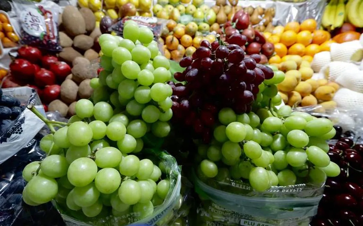 Incrementa precio de la uva en el Estado de México