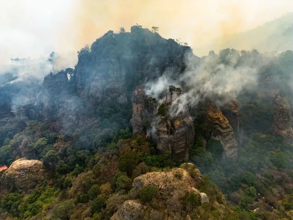 Se pidió a la población “no subir a la zona del incendio si no se cuenta con experiencia en manejo de fuego".