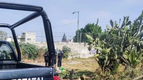 Perros se comen cadáver en Ecatepec
