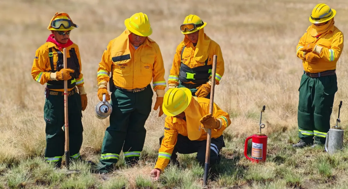 Estrategia en Amanalco: Quemas controladas blindan los bosques contra incendios forestales