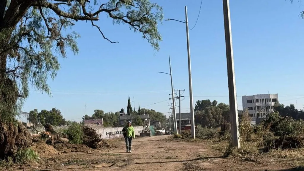 Talan árboles en Otumba por obras de pavimentación