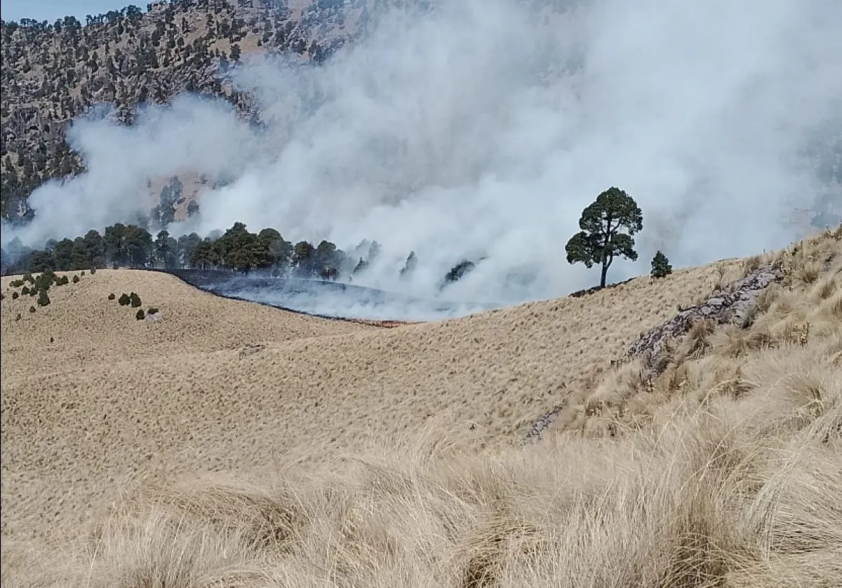 Según información oficial, el incendio fue causado por una fogata que tres personas no pudieron sofocar. Foto: Captura