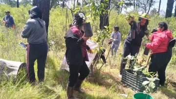 Comité en defensa del parque El Ocotal impulsa campaña de reforestación en Chalco